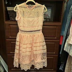 Alexis lace detail pale pink fit and flare dress size small